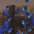 scstudfarm